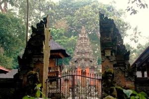 Niesamowite świątynie i małpy- Monkey Forest w Ubud!
